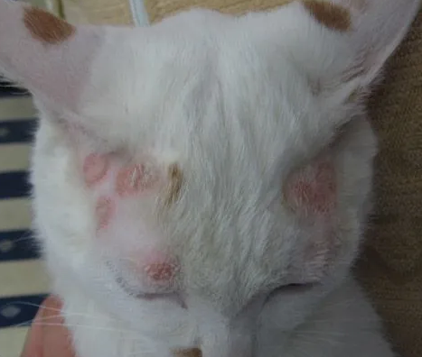 2024051421283090.png 洛陽朗威1.png